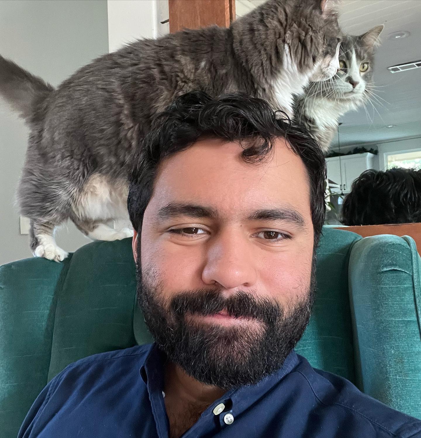 A bearded man with black hair sitting in a sea green armchair. On the back of the chair, a large ragdoll cat is perched and staring at his reflection in a mirror with a wooden frame.
